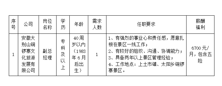 安徽大別山銅鑼寨文化旅游發(fā)展有限公司公開(kāi)招聘臨時(shí)工作人員公告（一）