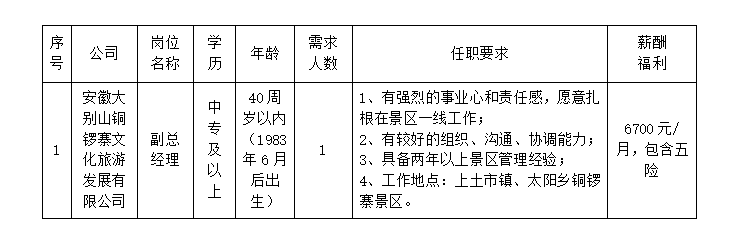 安徽大別山銅鑼寨文化旅游發(fā)展有限公司公開招聘臨時工作人員公告（三）