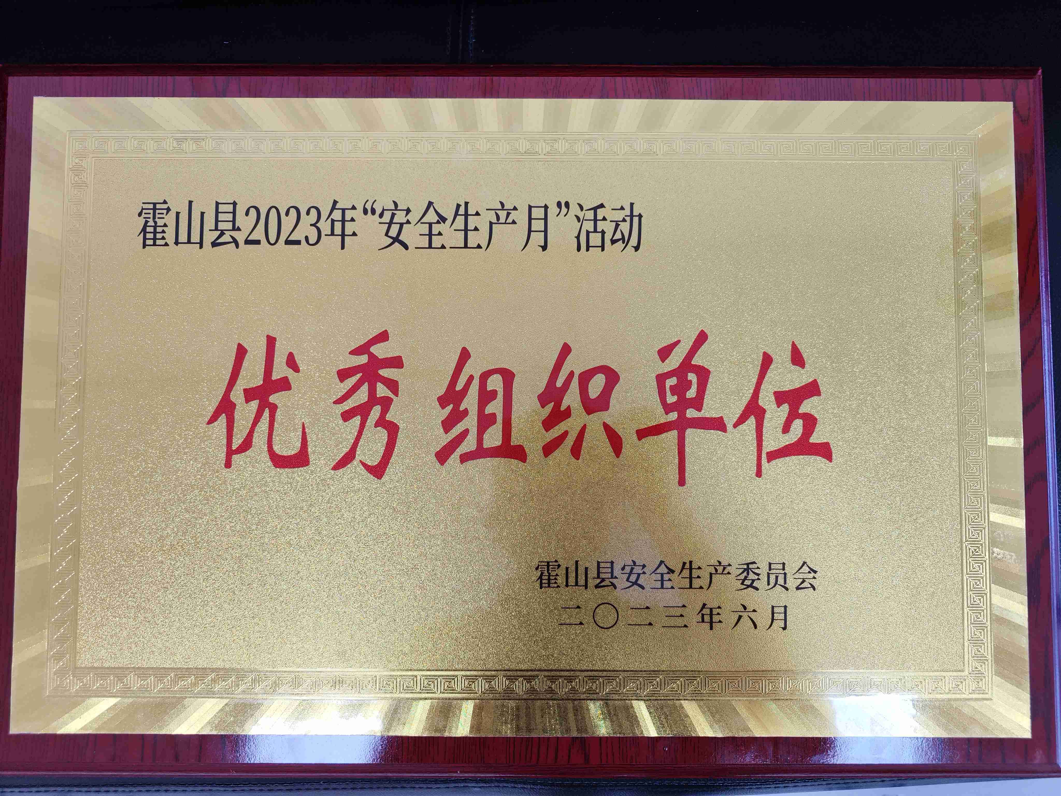 大別山國(guó)投集團(tuán)榮膺“優(yōu)秀組織單位”